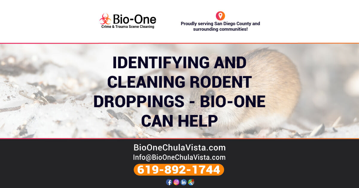Identifying and Cleaning Rodent Droppings BioOne Can Help BioOne